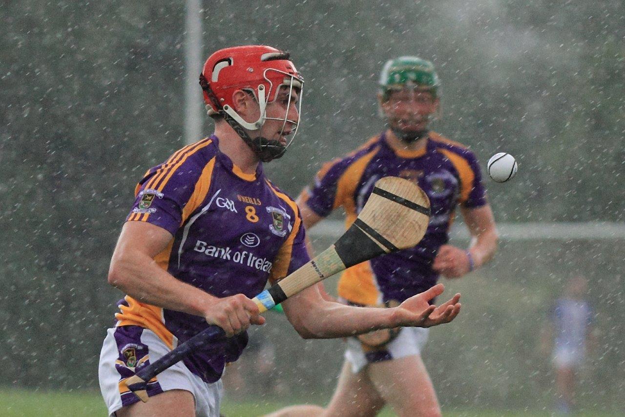 Summer Hurling !  AHL1 Team vs Ballyboden