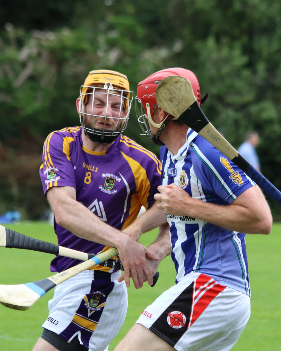 AHL6 League Win over Ballyboden