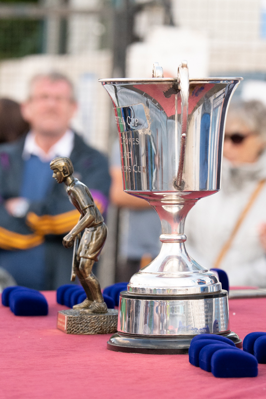 Portroe win Beacon Hospital All Ireland 7s