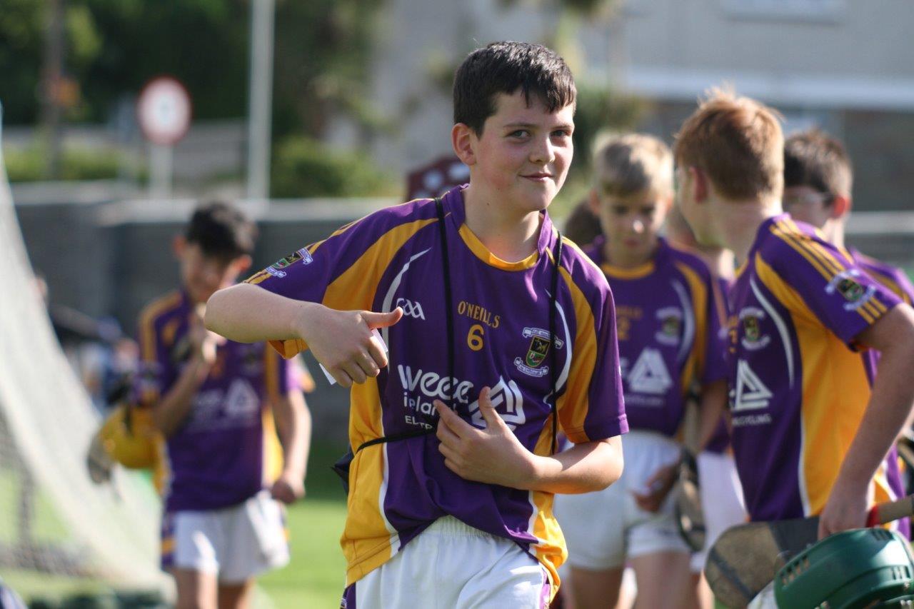 Beacon Hospital All-Ireland Hurling 7s proves a major success yet again