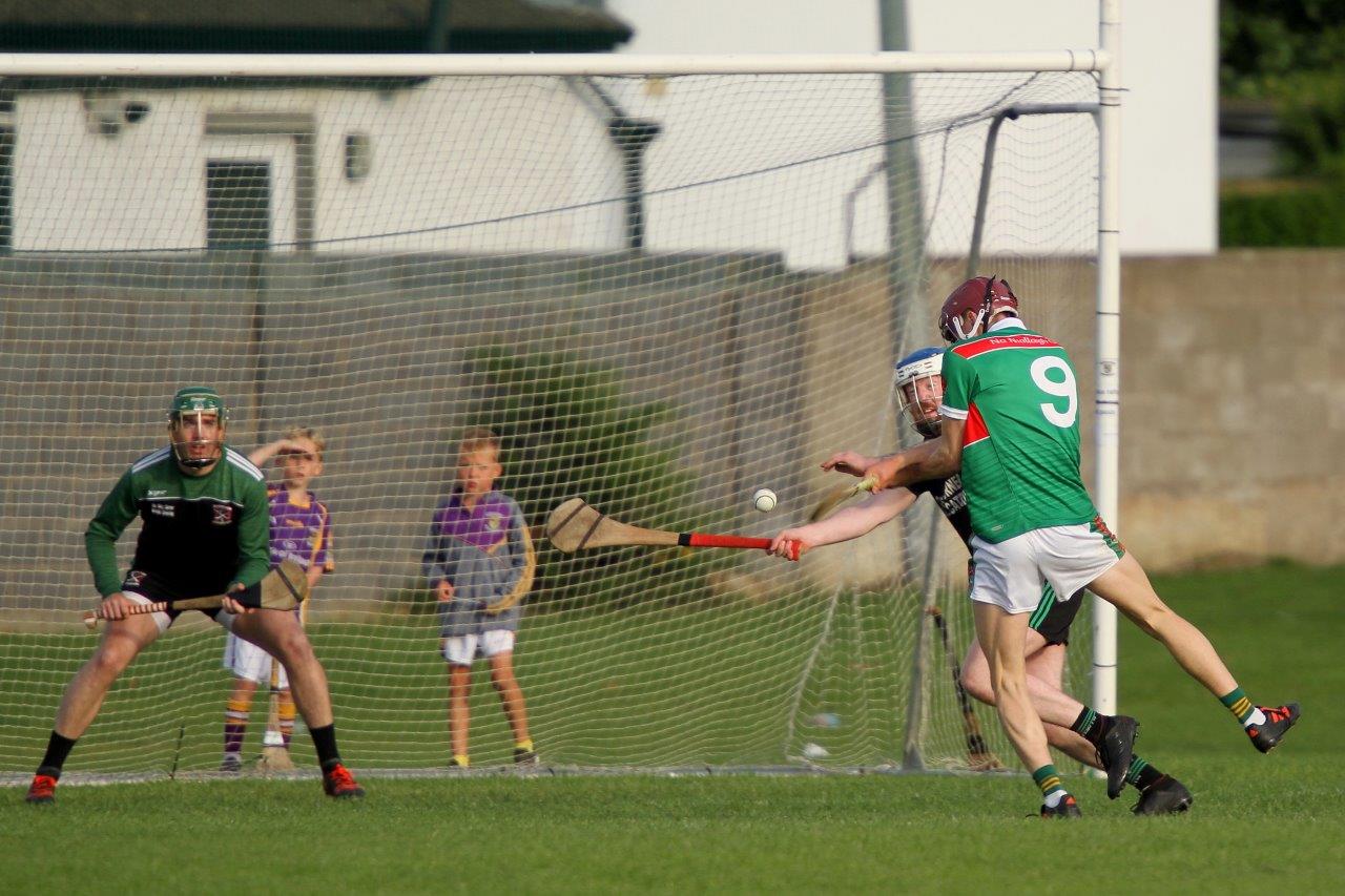 Beacon Hospital All-Ireland Hurling 7s Shield Final