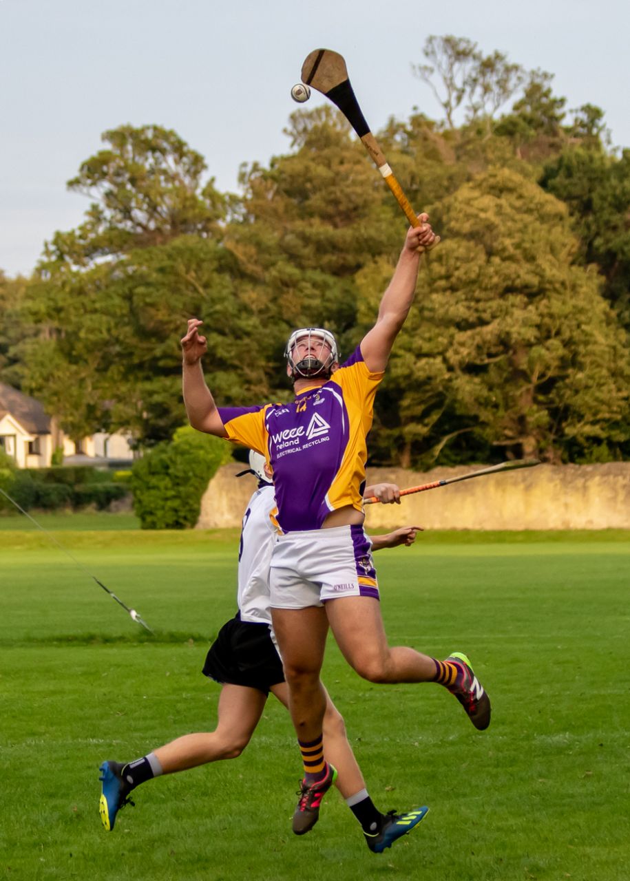 AHL3 Kilmacud Crokes v Peregrines