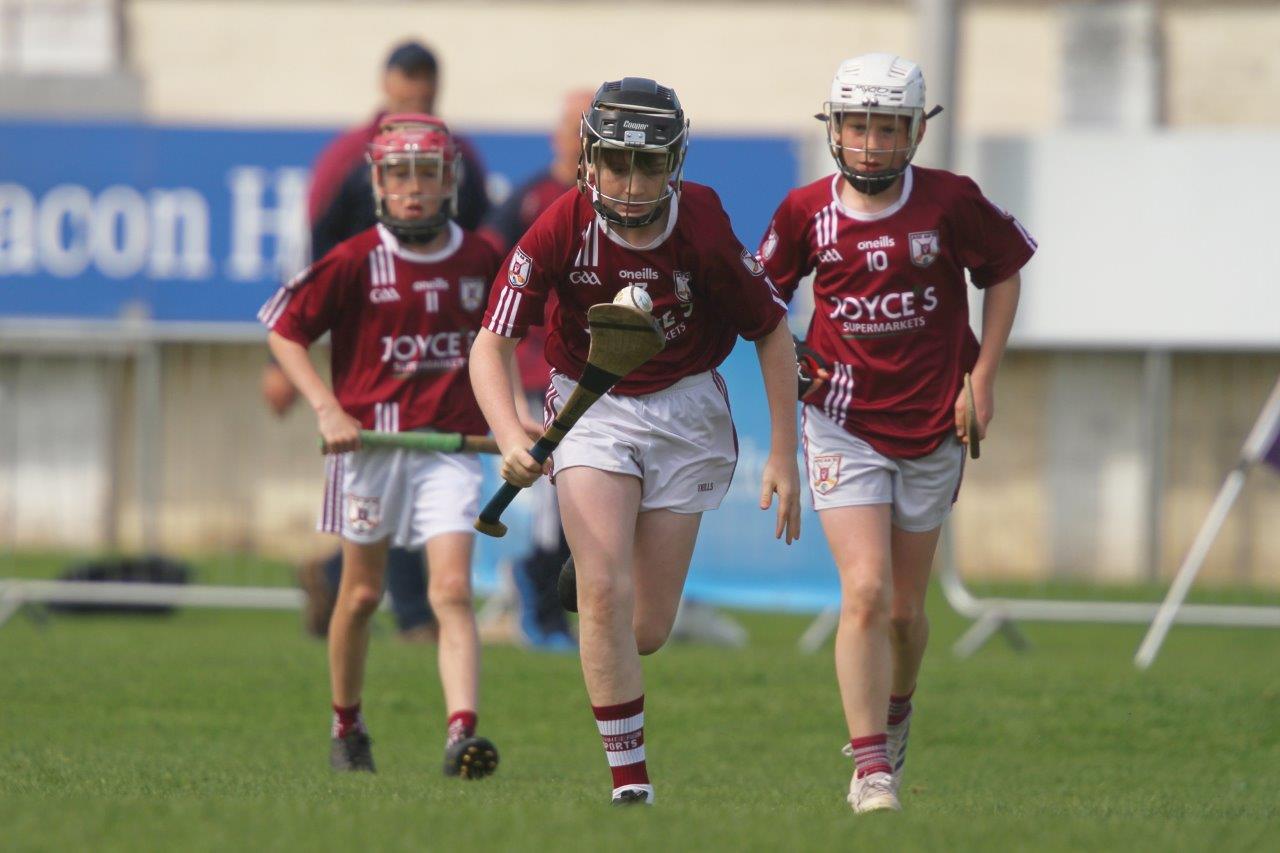 Ballygunner win inaugural U12 hurling festival at the Beacon Hospital All-Ireland Hurling 7s