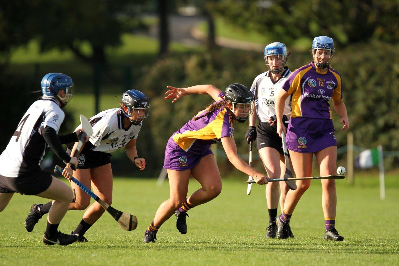 Senior Camogie Team into Championship Final