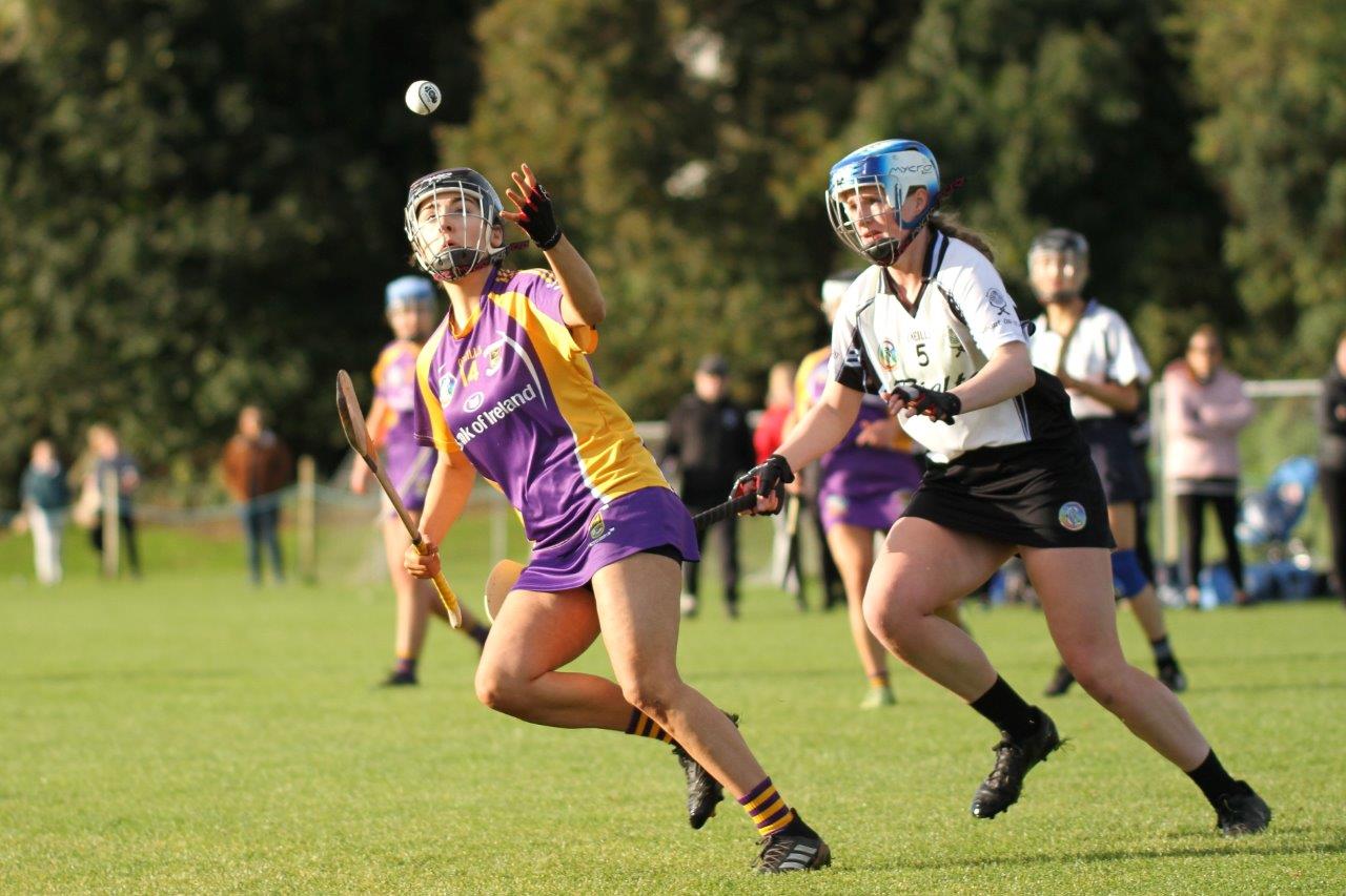 Senior Camogie Team into Championship Final