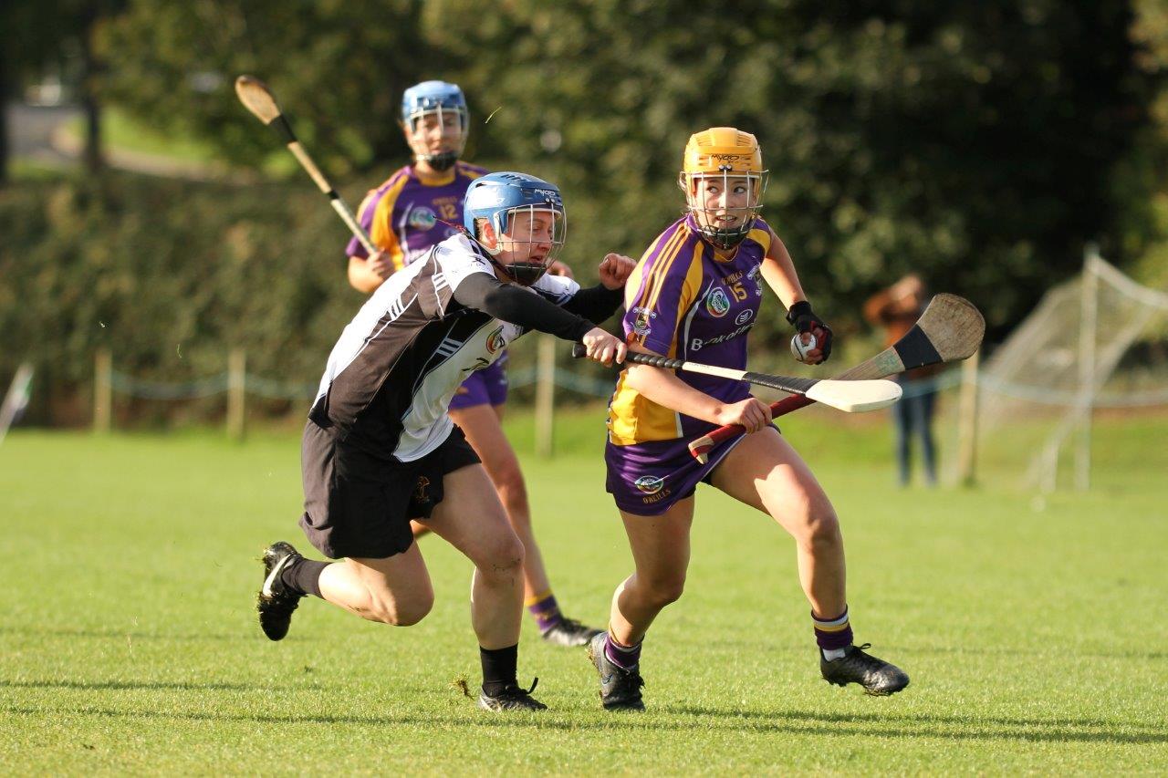 Senior Camogie Team into Championship Final