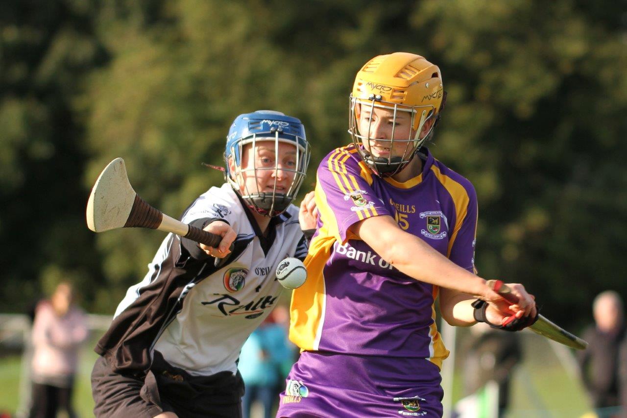 Senior Camogie Team into Championship Final