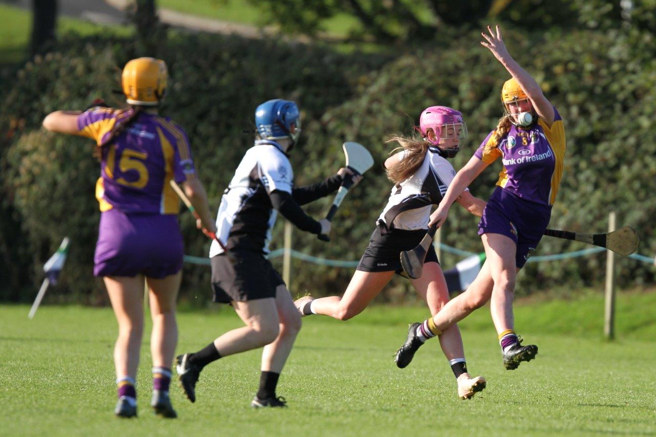 Senior Camogie Team into Championship Final