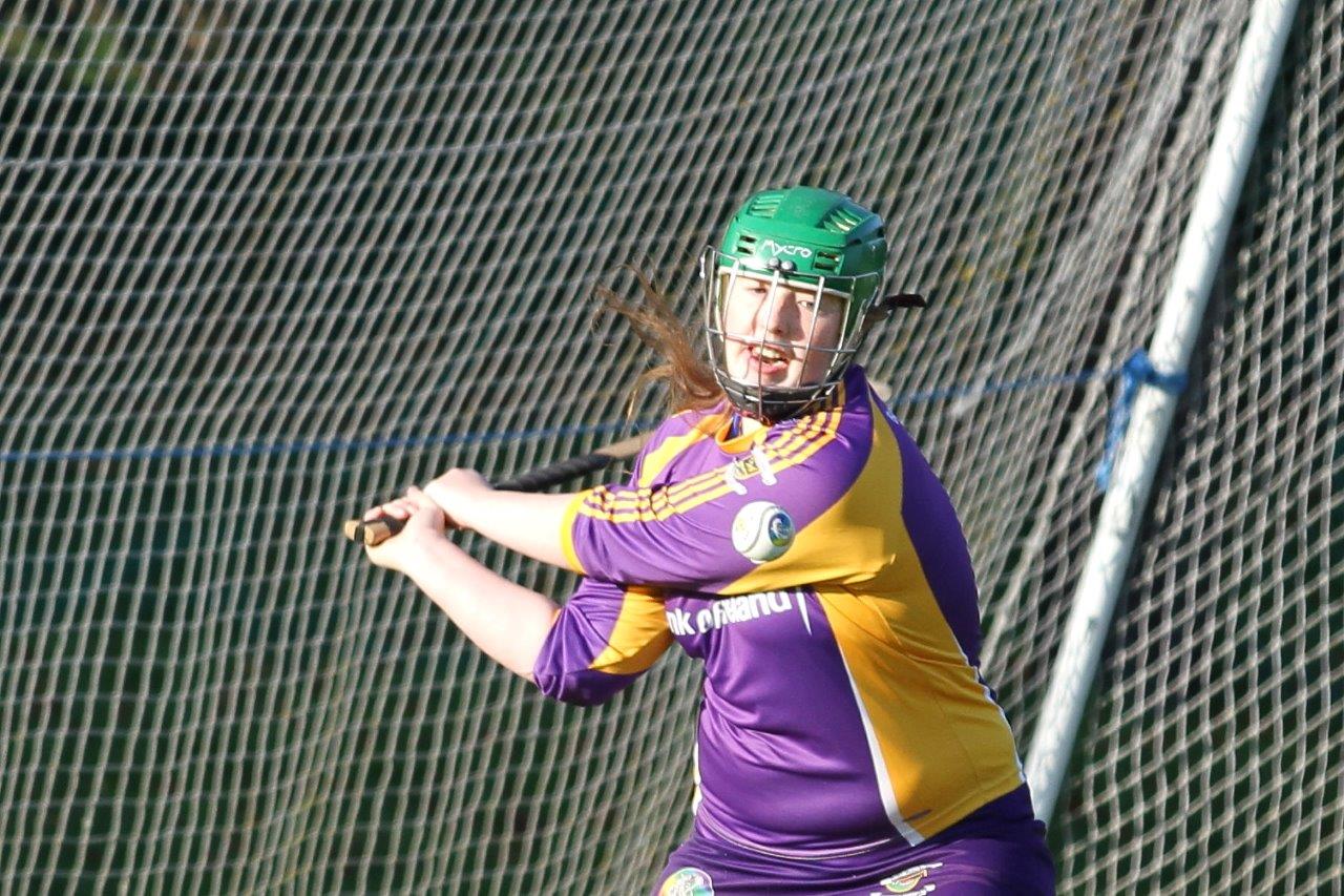 Senior Camogie Team into Championship Final