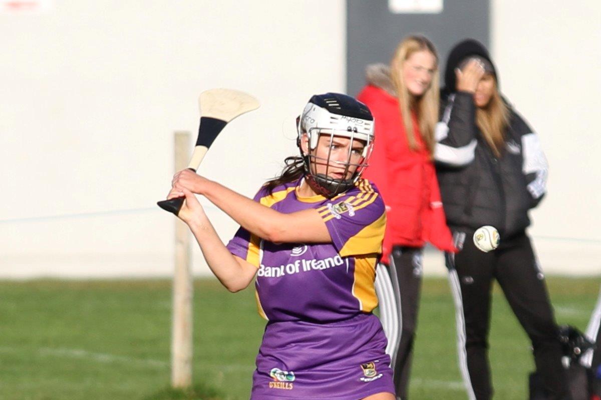 Senior Camogie Team into Championship Final