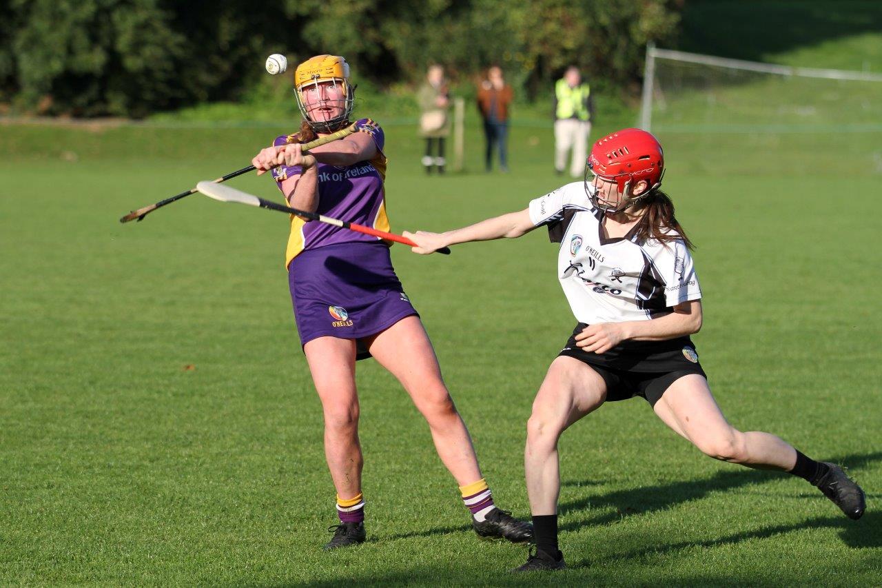 Senior Camogie Team into Championship Final