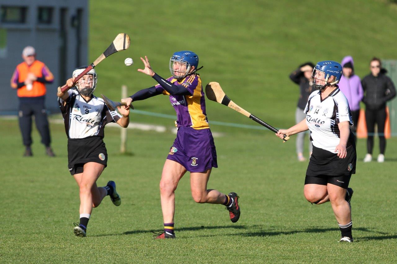 Senior Camogie Team into Championship Final