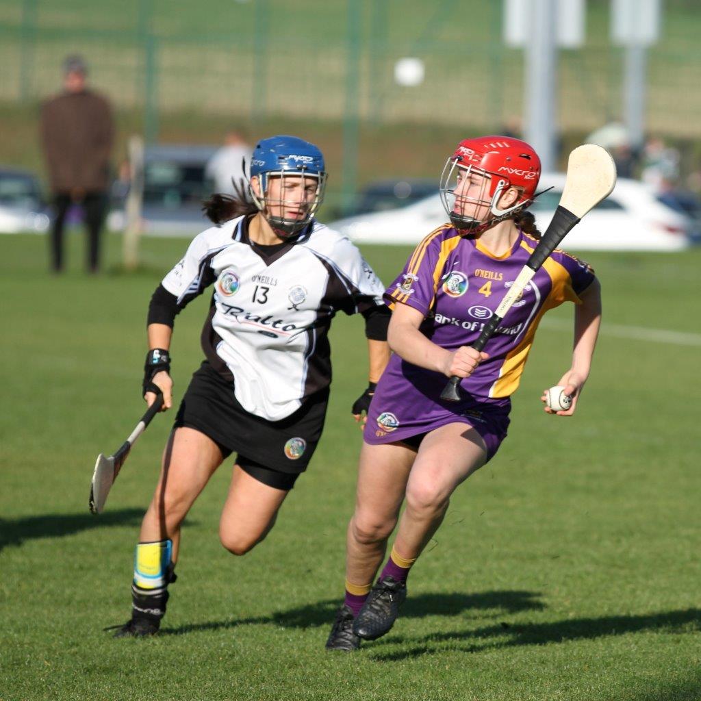 Senior Camogie Team into Championship Final