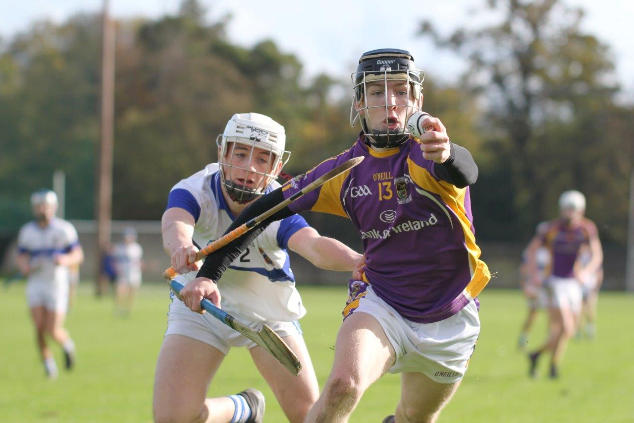 Minor A hurlers progress to Championship Final