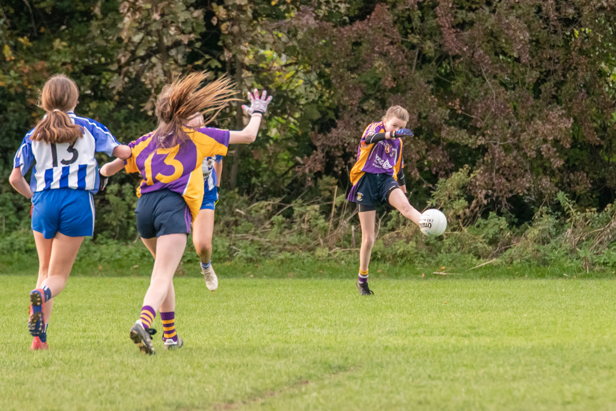 Kilmacud Crokes Under 13 Ladies Football Cup Final versus Ballyboden