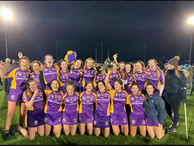 Senior Camogie Team win the Senior 2 County Championship Final