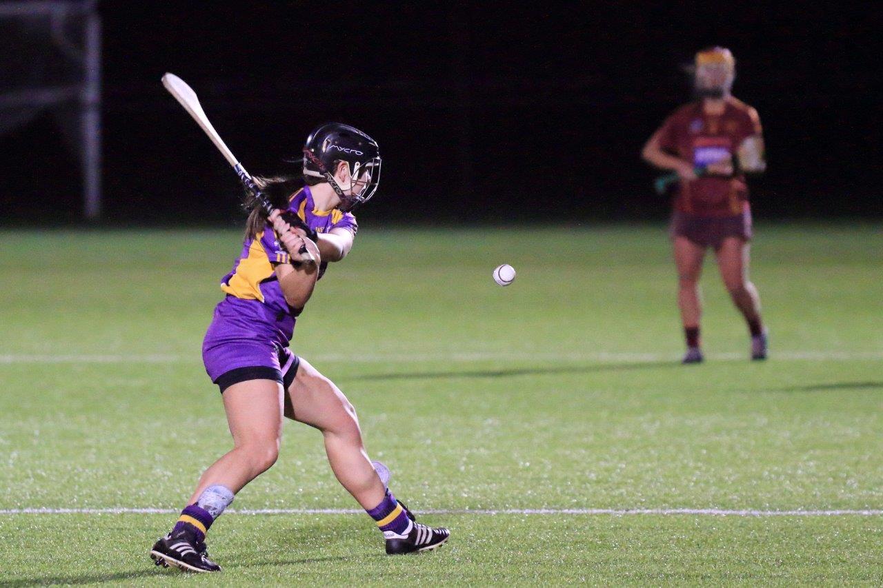 Senior Camogie Team win the Senior 2 County Championship Final