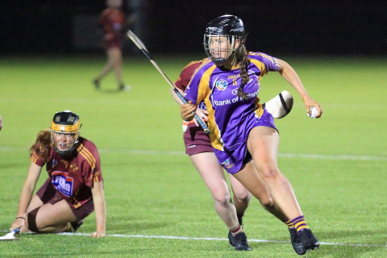 Senior Camogie Team win the Senior 2 County Championship Final