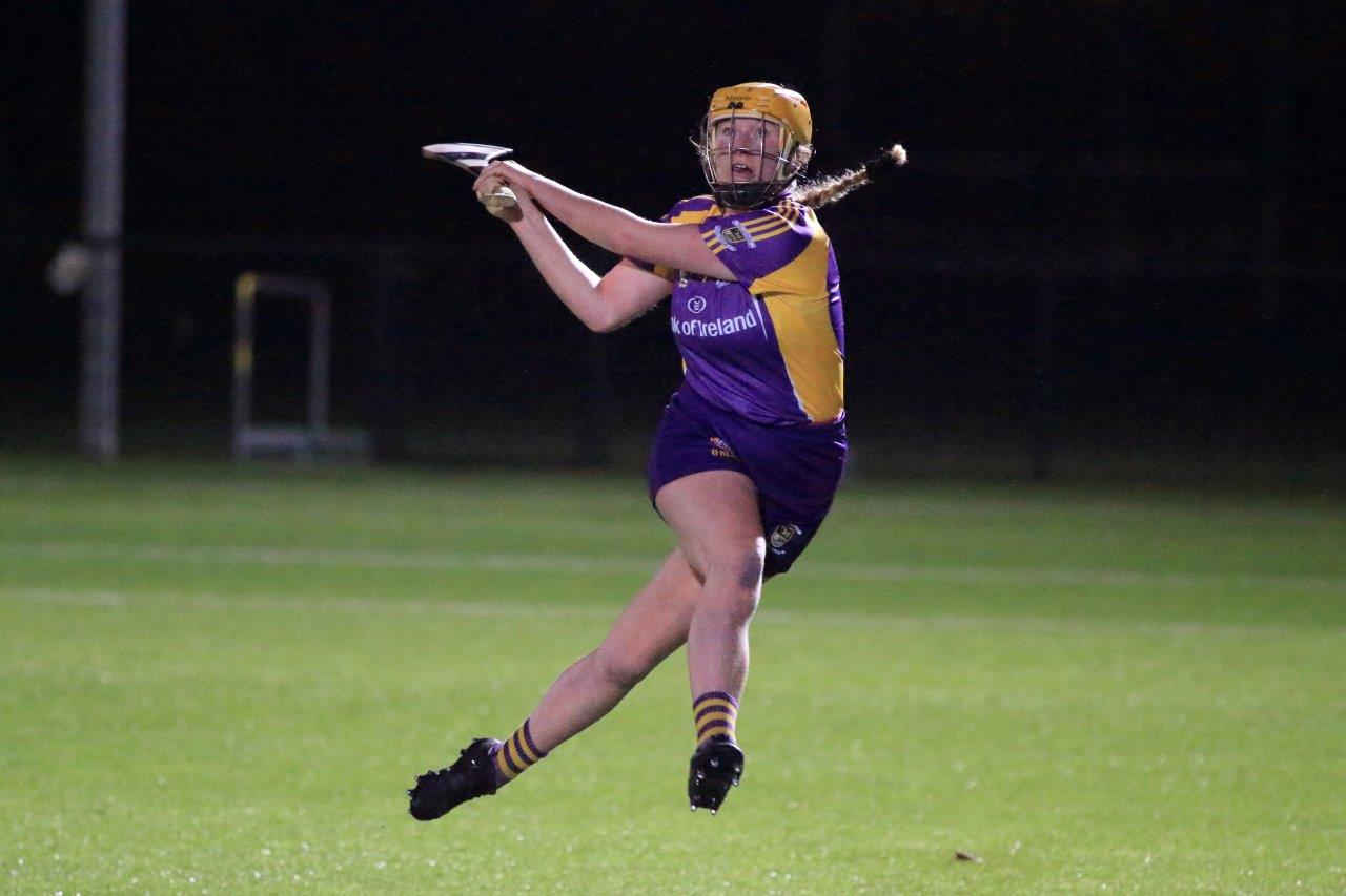 Senior Camogie Team win the Senior 2 County Championship Final