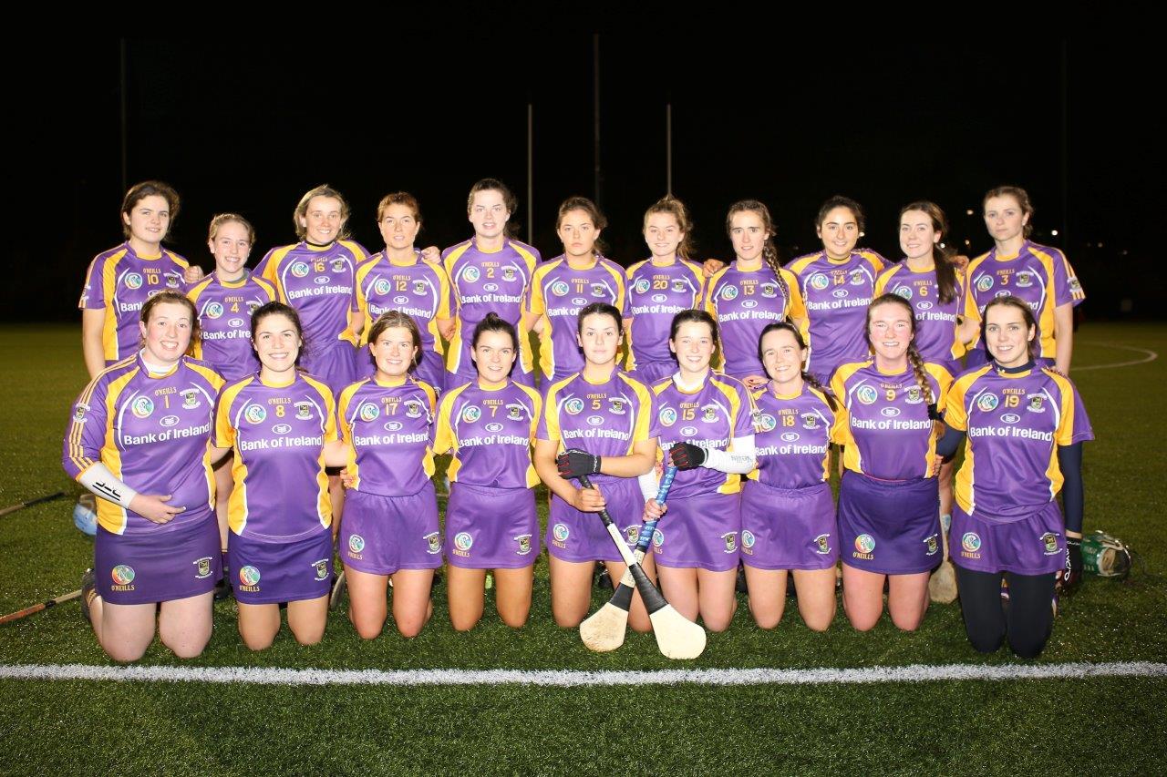 Senior Camogie Team win the Senior 2 County Championship Final