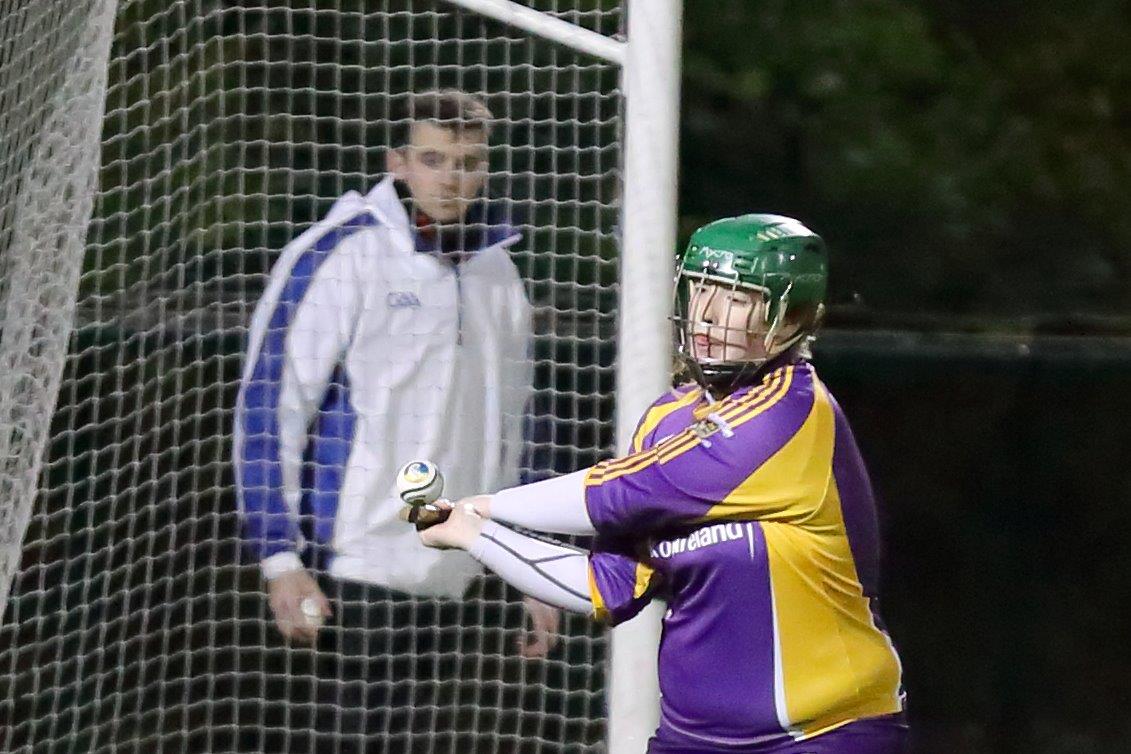 Senior Camogie Team win the Senior 2 County Championship Final