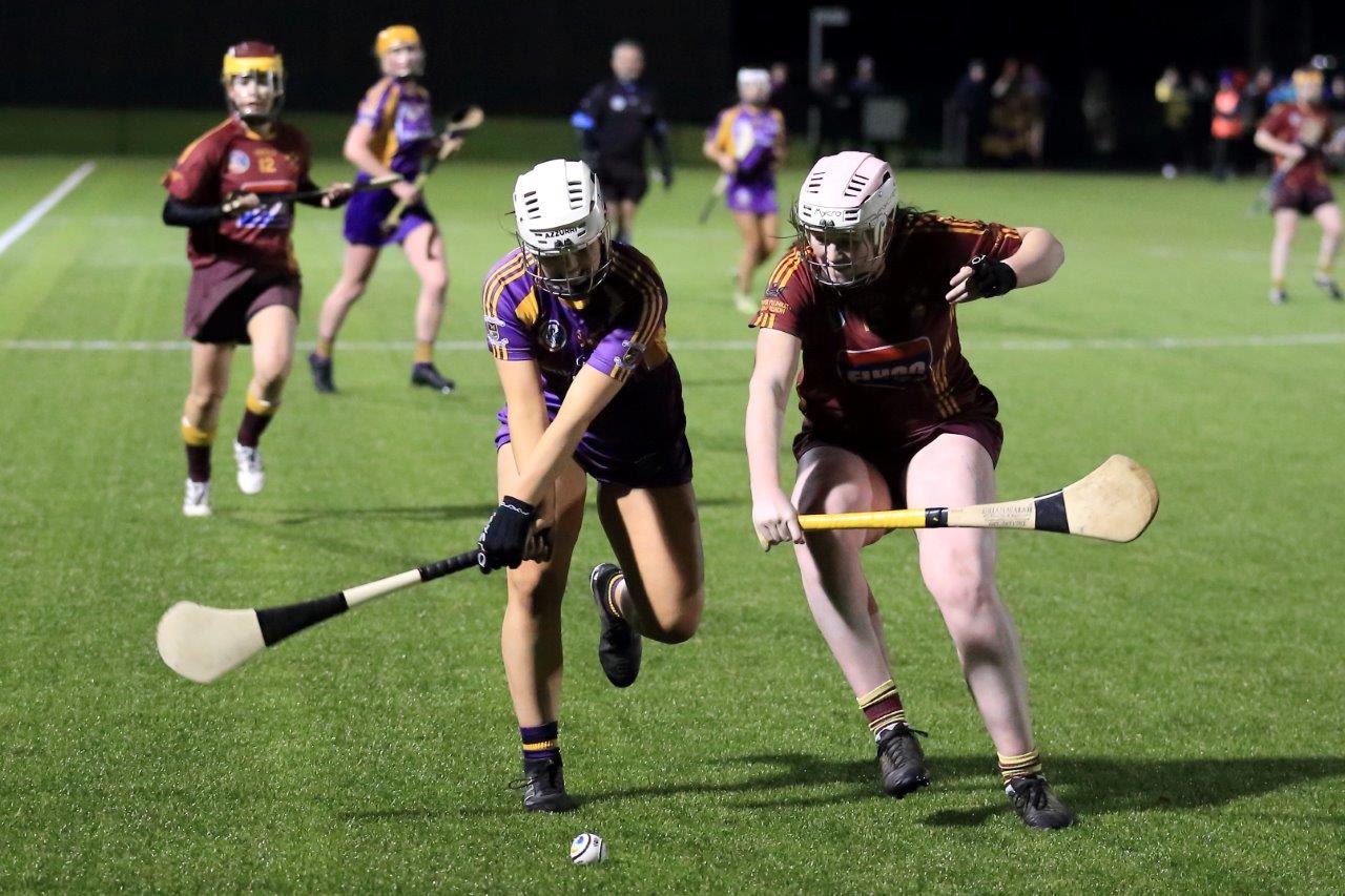 Senior Camogie Team win the Senior 2 County Championship Final