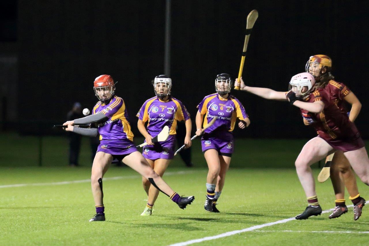 Senior Camogie Team win the Senior 2 County Championship Final