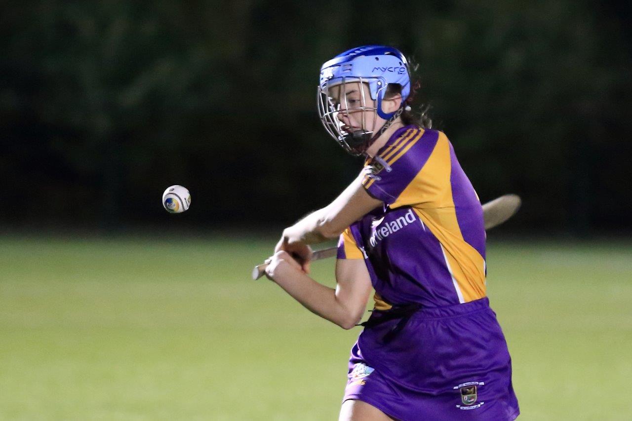 Senior Camogie Team win the Senior 2 County Championship Final