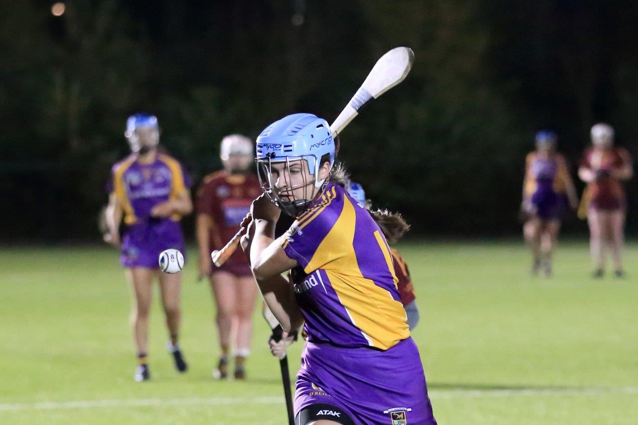 Senior Camogie Team win the Senior 2 County Championship Final