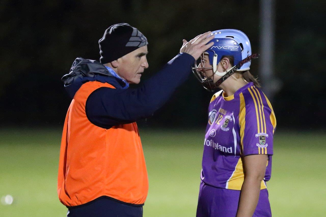 Senior Camogie Team win the Senior 2 County Championship Final