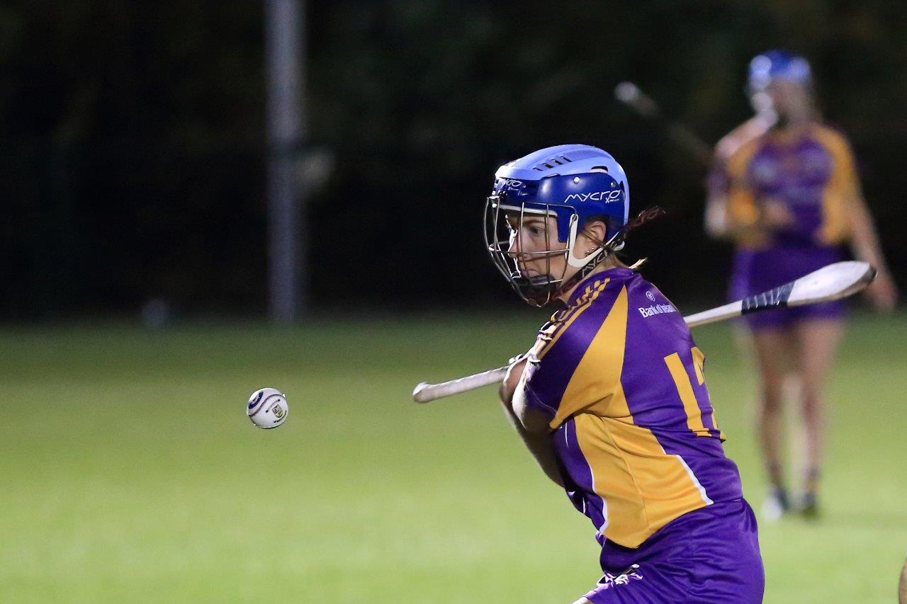 Senior Camogie Team win the Senior 2 County Championship Final