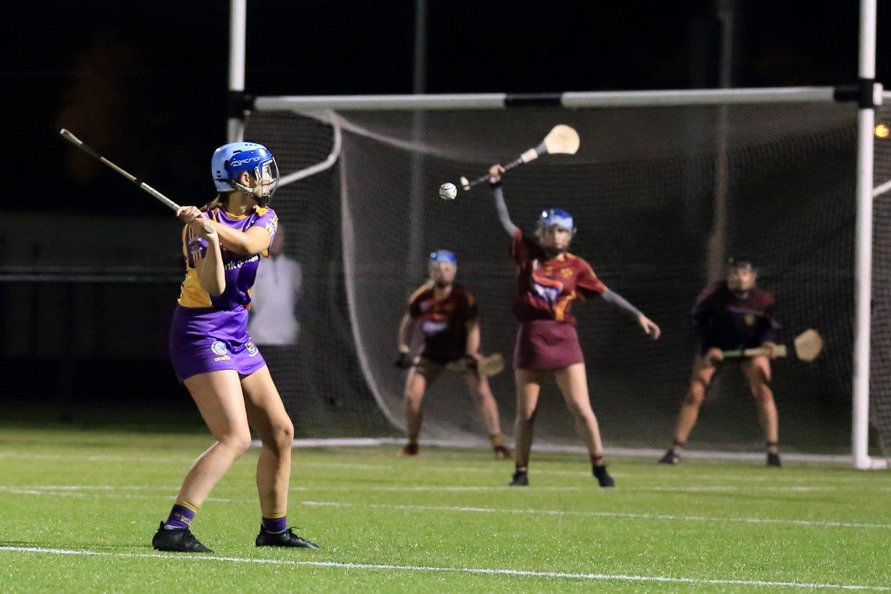 Senior Camogie Team win the Senior 2 County Championship Final