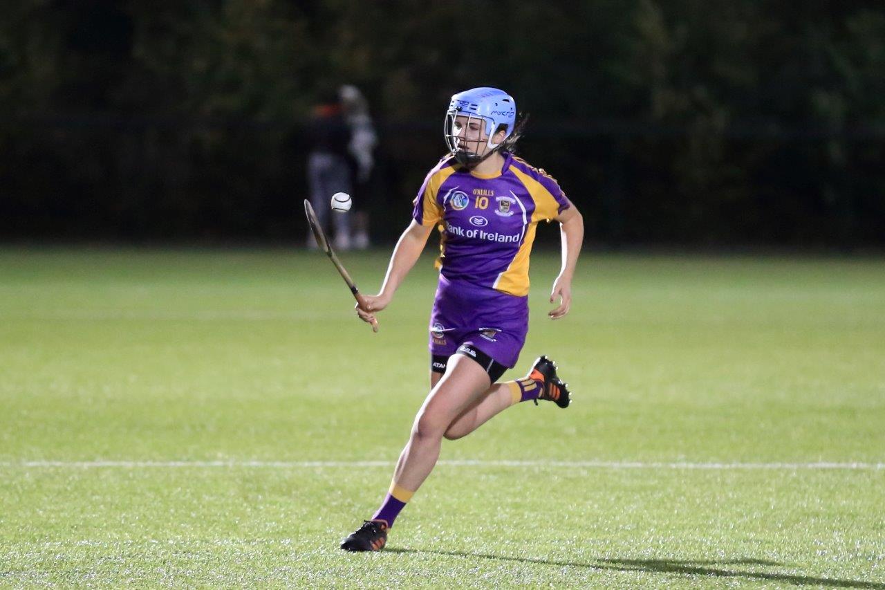 Senior Camogie Team win the Senior 2 County Championship Final