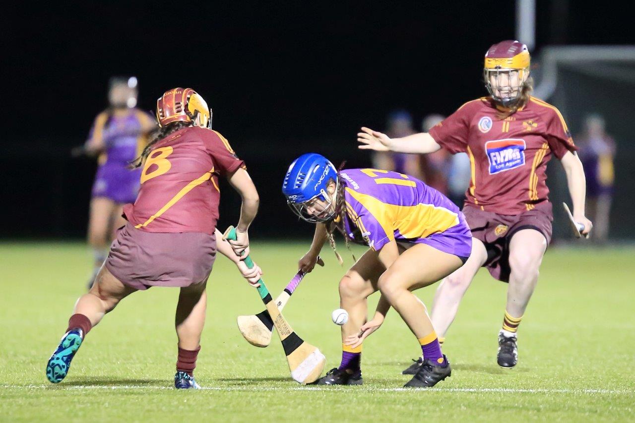 Senior Camogie Team win the Senior 2 County Championship Final