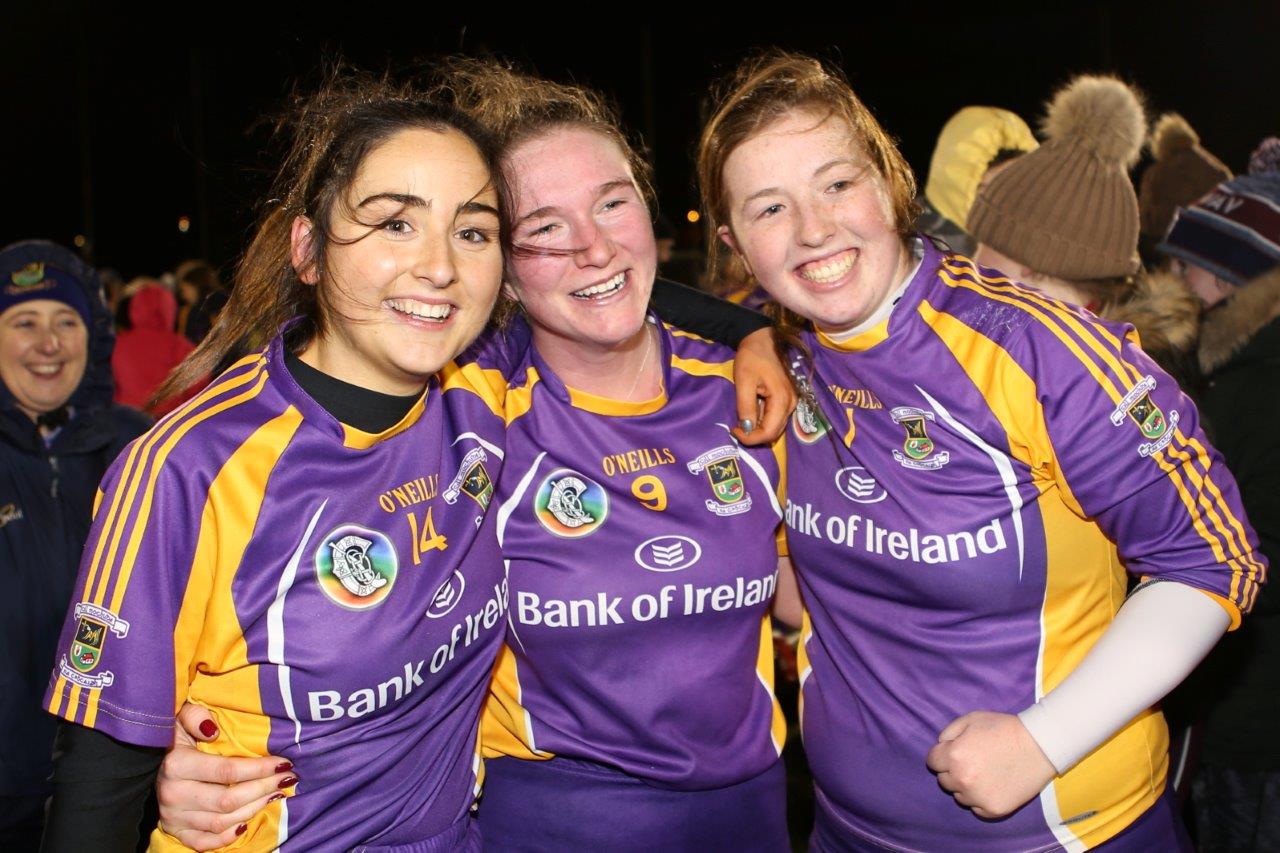 Senior Camogie Team win the Senior 2 County Championship Final