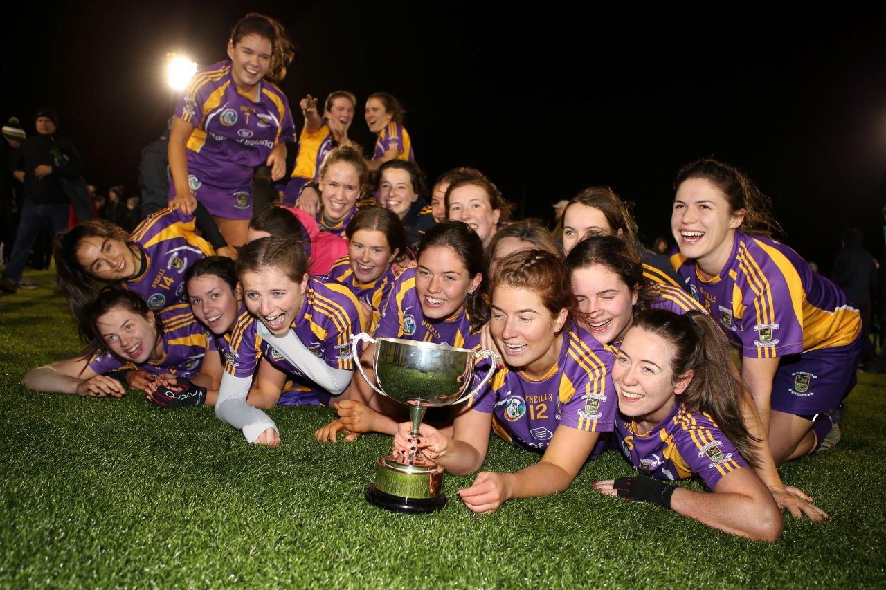 Senior Camogie Team win the Senior 2 County Championship Final