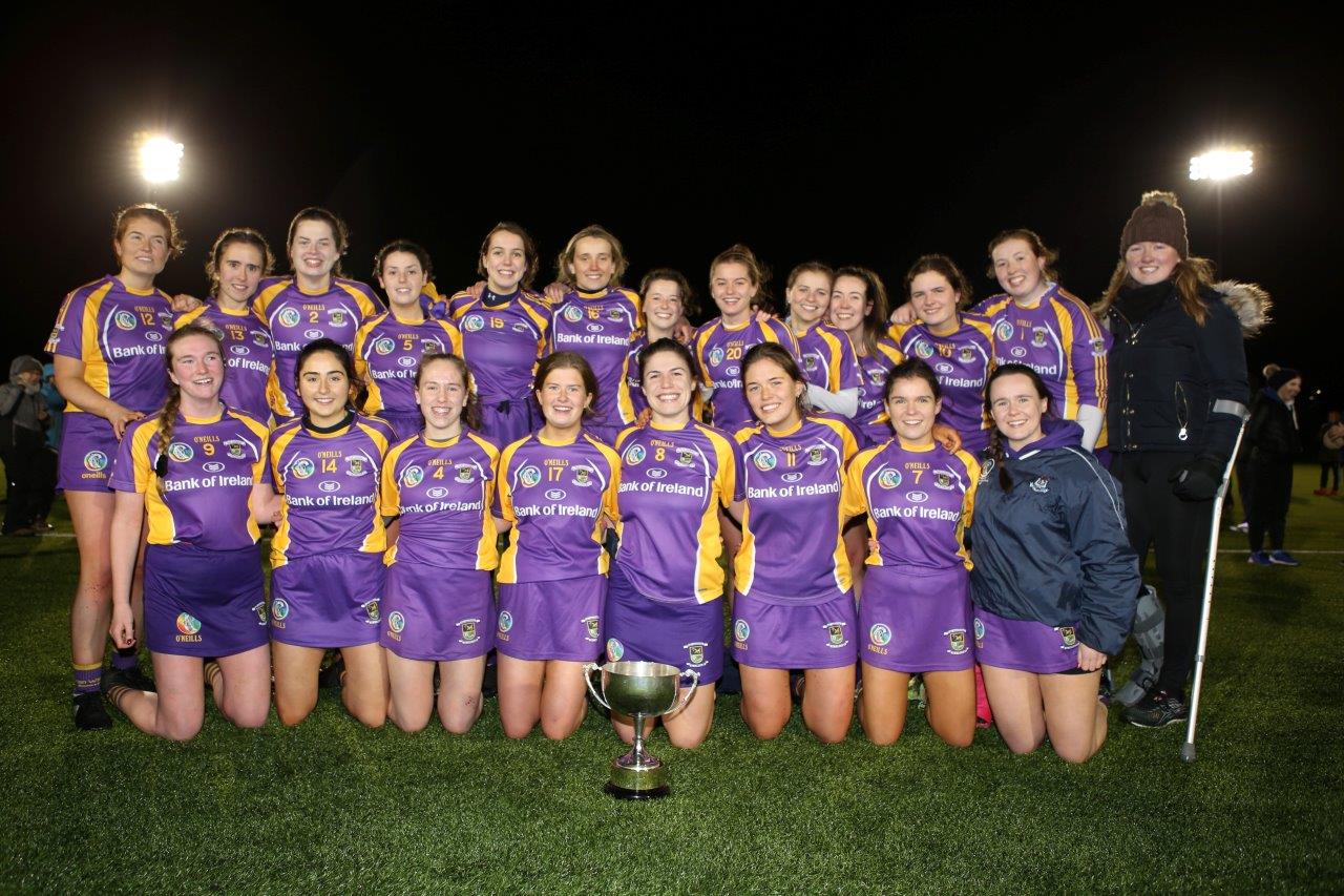 Senior Camogie Team win the Senior 2 County Championship Final