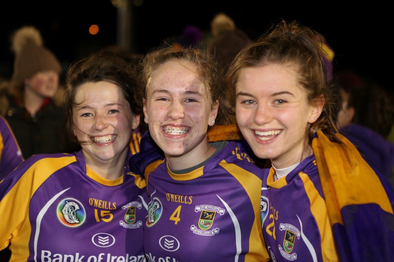 Senior Camogie Team win the Senior 2 County Championship Final