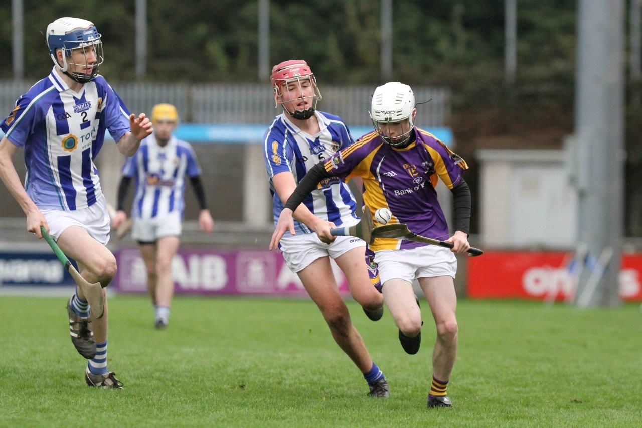 U16 A Hurlers win Championship Final