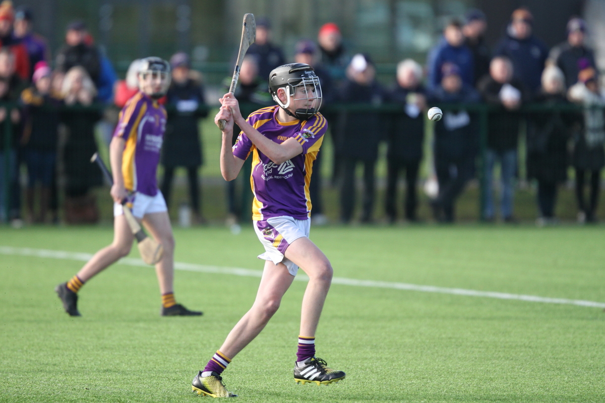 Photos from U15 Hurling Championship Final