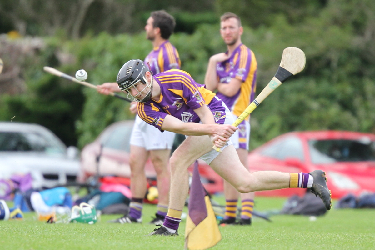 Junior B Hurling Challenge Matc