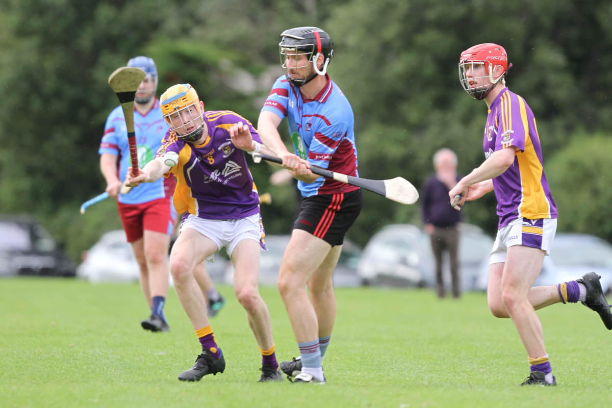 Junior B Hurling Challenge Matc