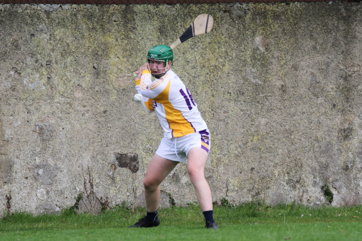 Junior B Hurling Challenge Matc