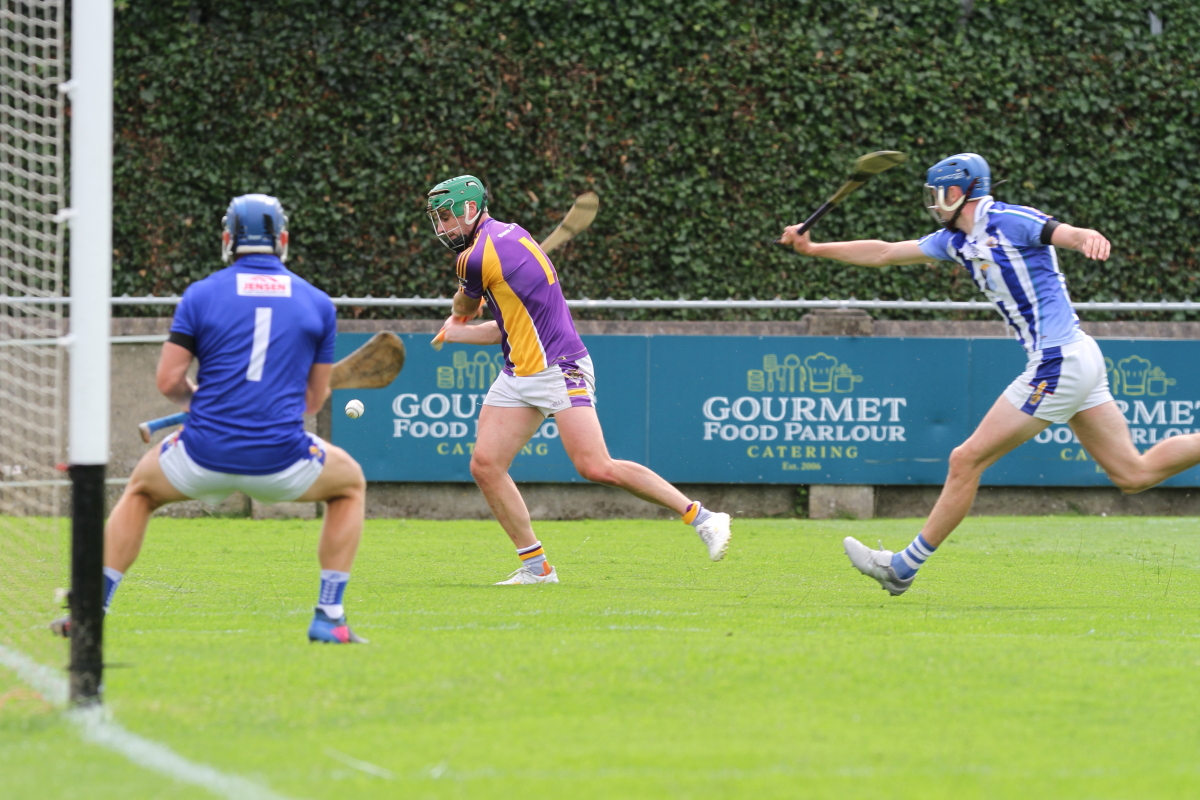 Senior A Hurlers start Championship with a convincing win