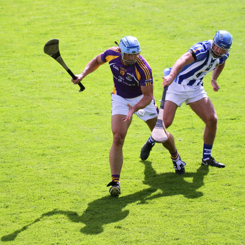 Senior A Hurlers start Championship with a convincing win