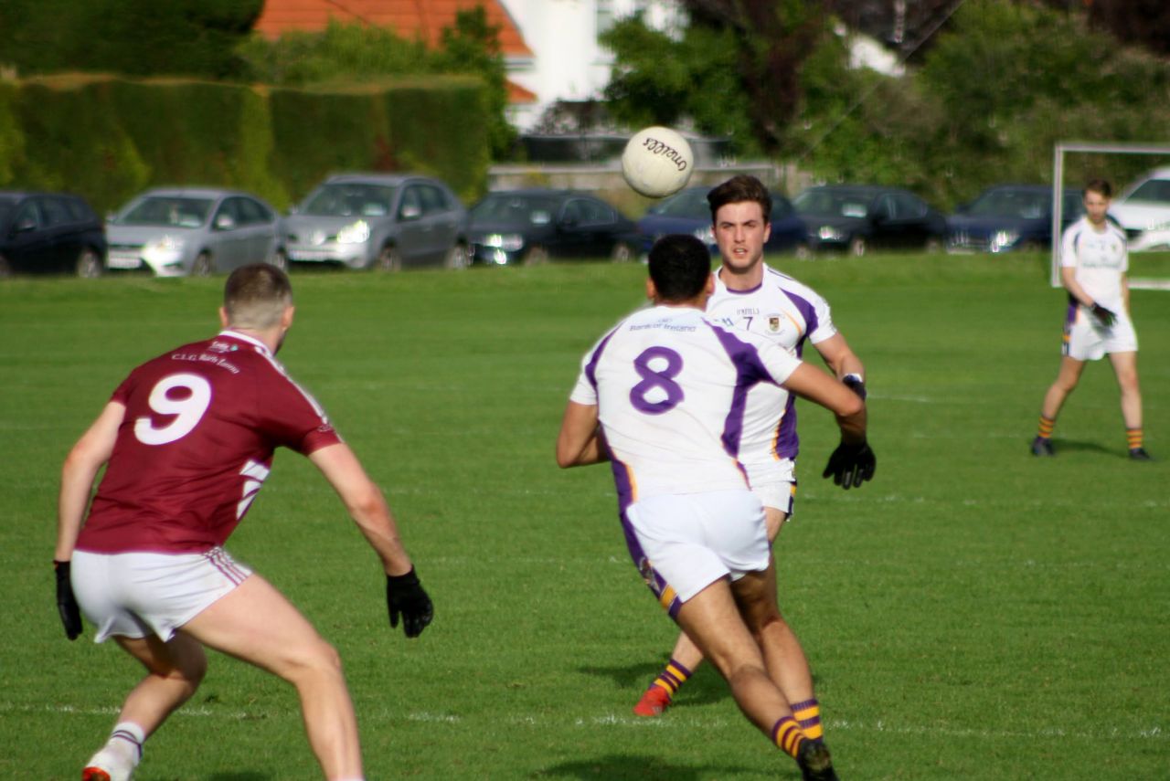 KC Crokes v Raheny