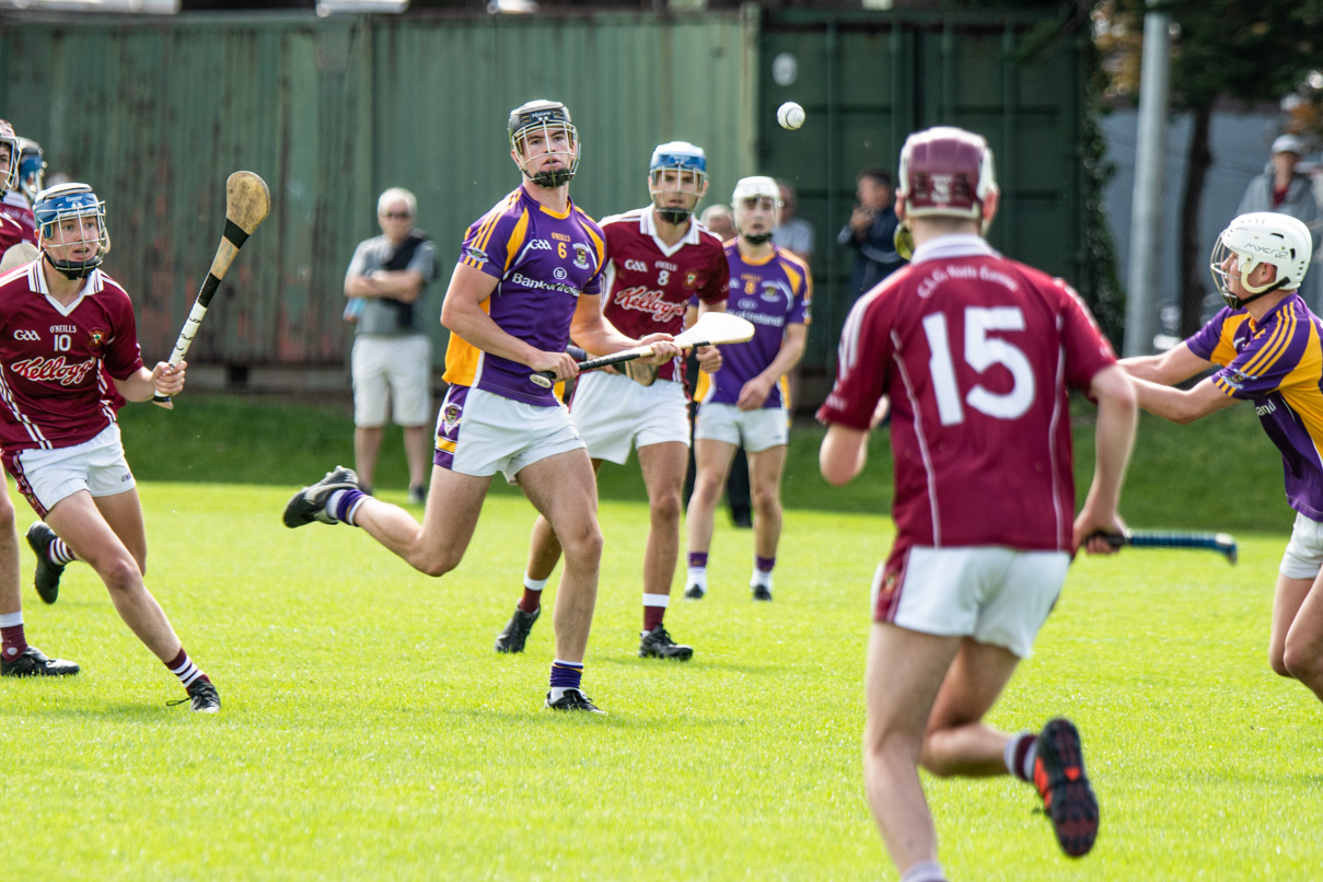 Minor A Hurling Championship 1st Round Kilmacud Crokes versus Raheny