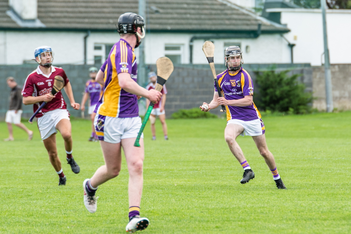 Minor A Hurling Championship 1st Round Kilmacud Crokes versus Raheny