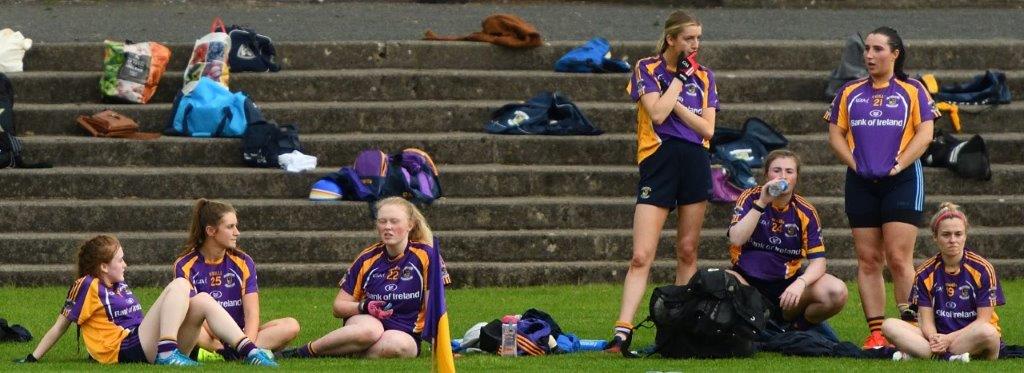 Ladies Football Junior B Championship Kilmacud Crokes Versus Portobello