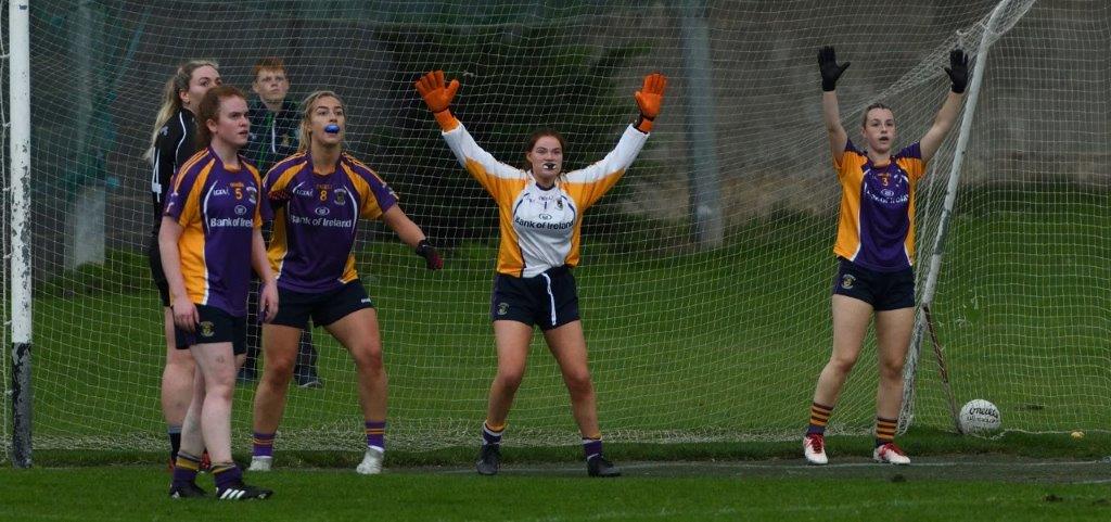 Ladies Football Junior B Championship Kilmacud Crokes Versus Portobello